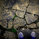 Image for article titled Shooting Challenge: Shattered Gallery 2